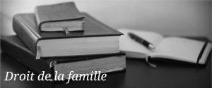 avocat secci - droit de la famille - Versailles et Saint-Nom-la-Bretèche